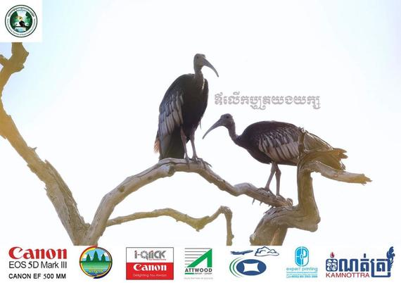 «សត្វស្លាប ១៤៥ប្រភេទ ថតបានពីតំបន់ឧទ្យានឫស្សីត្រឹប»