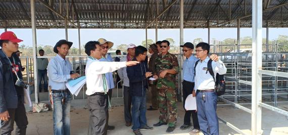 «ក្រុមវិស្វករប្រទេសថៃ និងជប៉ុន បានមកទស្សនកិច្ចឈ្វេងយល់នៅឧទ្យានរាជបណ្ឌិត្យសភាកម្ពុជា ដើម្បីរៀបចំបង្កើតកសិដ្ឋានចិញ្ចឹមគោទឹកដោះ»