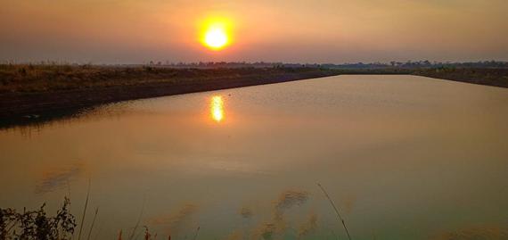 ជីកស្រះដើម្បីសង្គ្រោះសត្វរាប់រយប្រភេទនៅឧទ្យានរាជបណ្ឌិត្យសភាកម្ពុជា តេជោសែន ឫស្សីត្រឹប