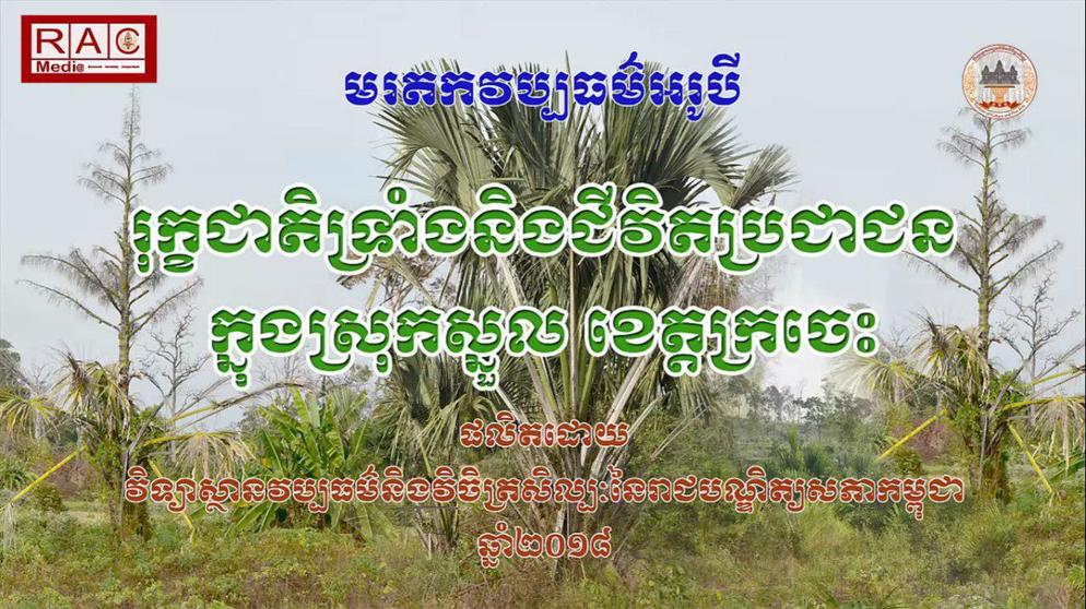 វីឌីអូស្ដីពីមរតកវប្បធម៌អរូបី និយាយអំពី៖ដើមទ្រាំងនិងប្រជាជន នៅស្រុកស្នួល ខេត្ដក្រចេះ។ រៀបចំនិងចងក្រងដោយវិទ្យាស្ថានវប្បធម៌ និងវិចិត្រសិល្បៈនៃរាជបណ្ឌិត្យសភាកម្ពុជា។ 